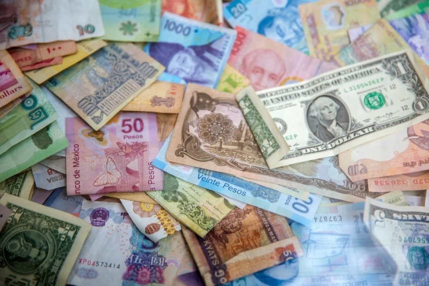 چرا EUR/USD مهم‌ترین جفت ارز فارکس است؟ ۷ دلیل برتری یورو دلار — Photo by Jason Leung on Unsplash